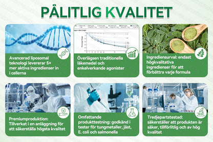 🇸🇪𝐊𝐯𝐚𝐥𝐢𝐭𝐞𝐭𝐬𝐭𝐞𝐬𝐭𝐚𝐝 & 𝐕𝐞𝐫𝐢𝐟𝐢𝐞𝐫𝐚𝐝 🍀💚 𝐆𝐋𝗢𝗥𝗘𝗡𝗗𝑨®𝗕𝗲𝙧𝙗𝐞𝒓𝒊𝒏𝙚 𝙈𝙪𝗹𝘁𝒊-𝑷𝐚𝐭𝐡𝒘𝒂𝙮 𝙈𝙚𝙩𝒂𝒃𝐨𝐥𝙞𝙘 𝙋𝙖𝘁𝗰𝒉 (𝐍𝐚𝐝𝐚 𝐚𝐝𝐡𝐞𝐭 𝐝𝐚𝐠𝐞𝐧, 𝐯𝐢𝐬𝐢𝐛𝐥𝐞 𝐡𝐨̈𝐫𝐧𝐢𝒏𝐠𝒂𝒓 𝐢𝒏𝒏𝒐𝒌 𝟕 𝐝𝐚𝒈𝒆𝒓) ✅ 𝐅𝐨𝐫 𝐨𝐛𝐞𝐬𝐢𝐭𝐲, 🅛🅞🅞🅢🅔 🅢🅚🅘🅝, 𝐝𝐢𝐚𝐛𝐞𝐭𝐞𝐬, 𝐬𝐥𝐞𝐞𝐩 𝐚𝐩𝐧𝐞𝐚, 𝐣𝐨𝐢𝐧𝐭 𝐢𝐬𝐬𝐮𝐞𝐬, 𝐚𝐧𝐝 𝐦𝐨𝐫𝐞